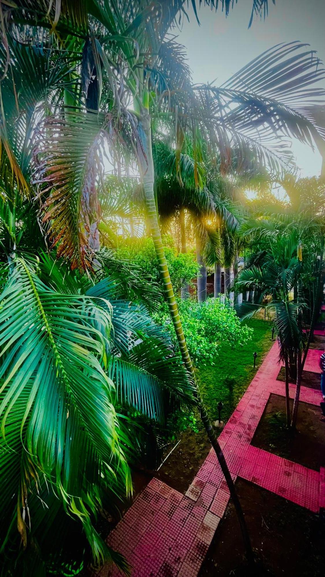 Hotel Jungle Palace Resort Umariā Eksteriør bilde